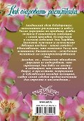 Очар(м).Дрейлинг Как очаровать распутника - 1