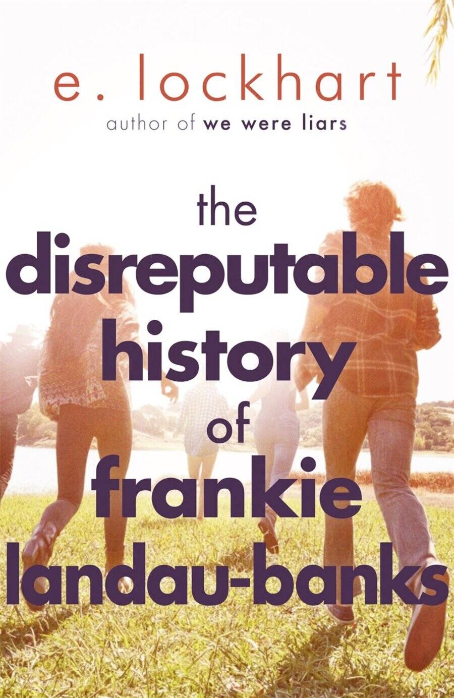 Обложка книги «The Disreputable History of Frankie Landau-Banks»