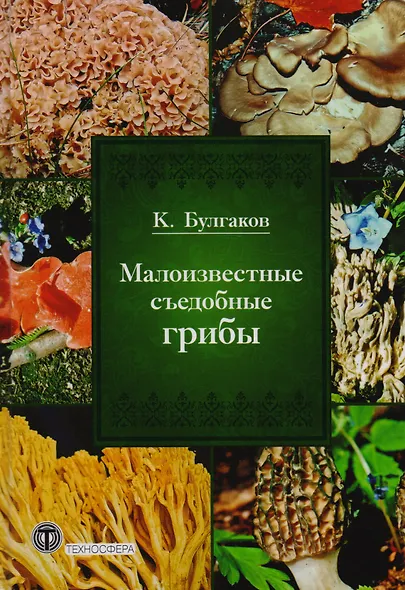 Малоизвестные съедобные грибы