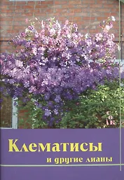 Клематисы и другие лианы
