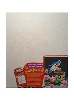 Набор Роспись холста по номер. Синички (26174) (40х50см) (краски/24цв.+3 кисточки+петли) (7+) (упаковка)