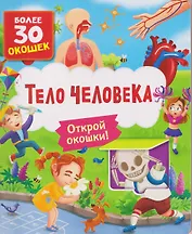 Тело человека