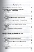 Русский язык. 8 класс. Контрольные измерительные материалы - 1