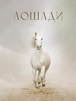 Лошади