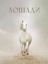 Лошади