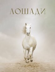 Лошади