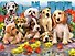 Пазл 48 Super 3D Kids Друзья (31х23) (3+) (10516) (коробка) - 2
