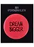Значок круглый Dream Bigger (коралловый) (металл) (38см) (ЗН2021-003) - 0