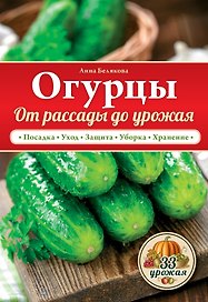 Огурцы. От рассады до урожая
