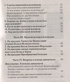 Что нужно знать об Исповеди (мЖвЦ) Пантелеимон (Шатов) - 2