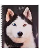 Тетрадь в клетку Unnika, "Магический взгляд (животные)", 80 листов, в ассортименте