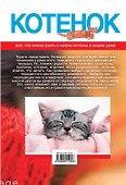 Котенок. Наглядное пособие по уходу - 1