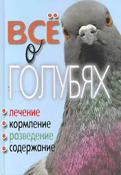 Все о голубях.Лечение кормление разведение содержание