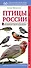 Птицы России. Наглядный карманный определитель - 0