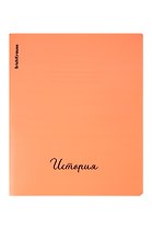 Тетрадь на кольцах «Neon. История» в ассортименте 48 листов в клетку - Erich Krause