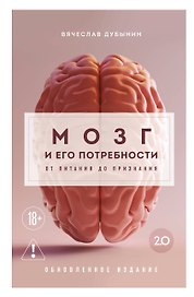Мозг и его потребности 2.0. От питания до признания