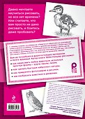 Как рисовать домашних питомцев - 1