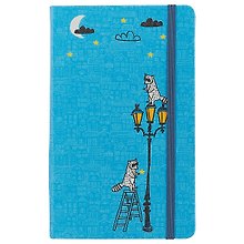 Книга для записей «Funny stories. Еноты», синяя, 96 листов, А5