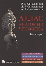Атлас анатомии человека. В 3 томах. Том второй. Учение о внутренностях, эндокринных железах, сердечно-сосудистой и лимфоидной системах