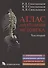Атлас анатомии человека. В 3 томах. Том второй. Учение о внутренностях, эндокринных железах, сердечно-сосудистой и лимфоидной системах - 0