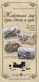 Животный мир Азии. Степи и горы