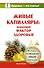 Живые капилляры: Важнейший фактор здоровья! - 0