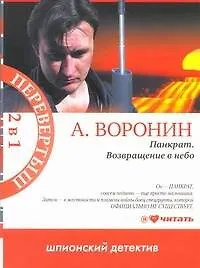 Панкрат. Возвращение в небо: роман