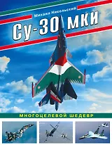 Су-30 МКИ. Многоцелевой шедевр