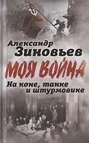 На коне, танке и штурмовике. Записки воина-философа
