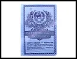Обложка для паспорта " Сберкнижка" 13,7*9,6см 445950, шт