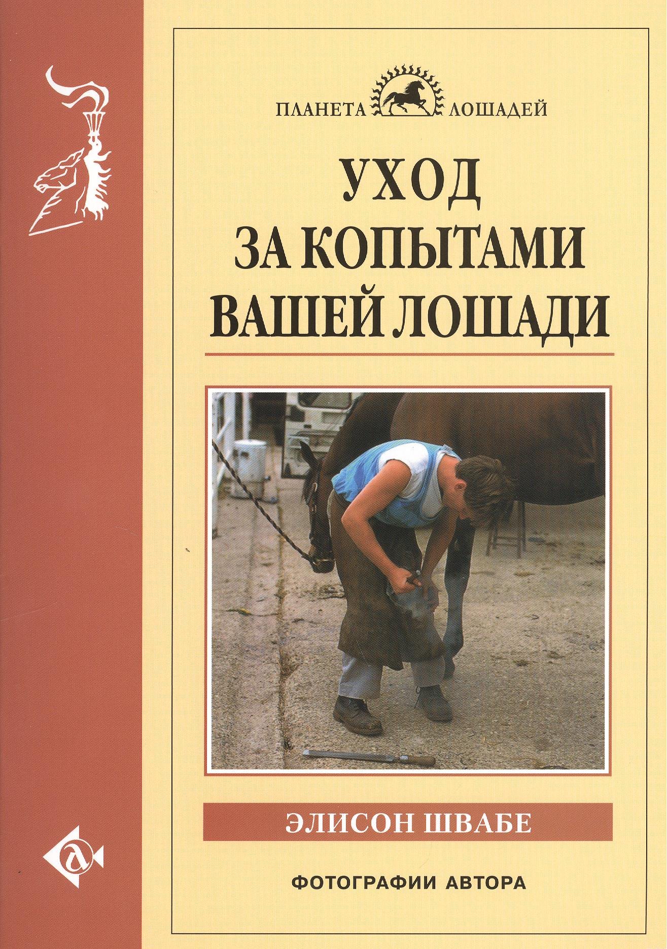 

Уход за копытами вашей лошади