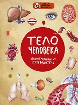 Тело человека. Иллюстрированный путеводитель