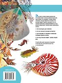КнигаЮнНата(+20НАКЛ)Подводный мир - 1