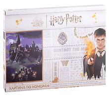 Картина-раскраска по номерам «Прибытие в Хогвартс», 30 х 40 см, Wizarding World