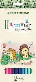 Карандаши цветные «Сибирский Кедр. Ежик», 12 цветов