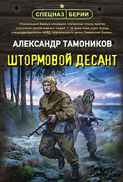 Штормовой десант