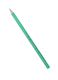 Карандаш "Polychromos" цветной профессиональный 162 серо-зел.св., Faber-Castell