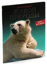 Романтическая битва