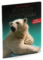 Романтическая битва