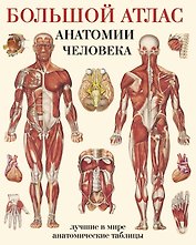 Большой атлас анатомии человека(в табл)