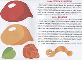 Аппликация. Занятия дома и в детском саду. 3-4 года. Выпуск 1 - 2