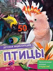 Птицы
