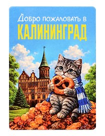 Магнит декоративный Кот на янтаре (Калининград) (70х100мм) (FH070)
