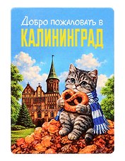 Магнит декоративный Кот на янтаре (Калининград) (70х100мм) (FH070)