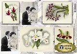 Декупажная карта Орхидеи (S-054) (упаковка)