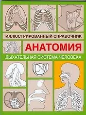 Анатомия.Дыxательная система человека: Иллюстрированный справочник
