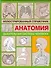 Анатомия.Дыxательная система человека: Иллюстрированный справочник - 0