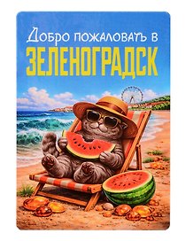 Магнит декоративный Кот на пляже (Калининград) (70х100мм) (FH073)