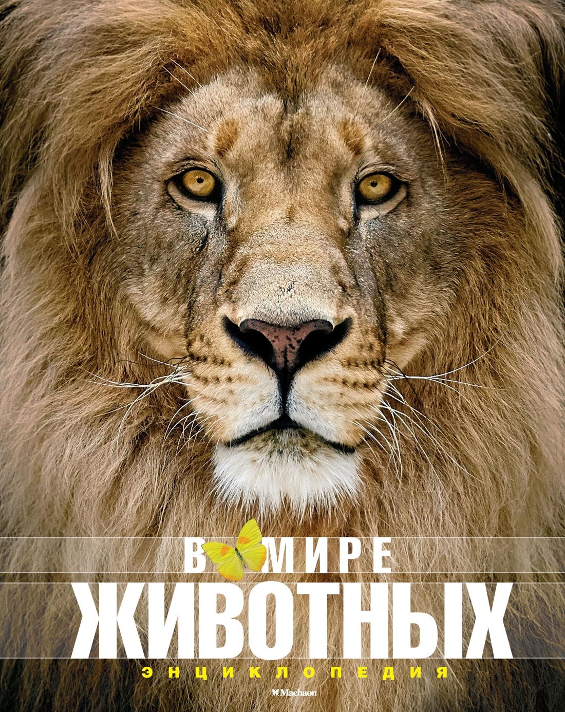 

В мире животных