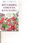 Брусника. Клюква. Красника - 0